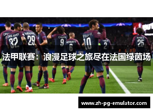 法甲联赛:浪漫足球之旅尽在法国绿茵场 法甲联赛:浪漫足球之旅尽在法国绿茵场